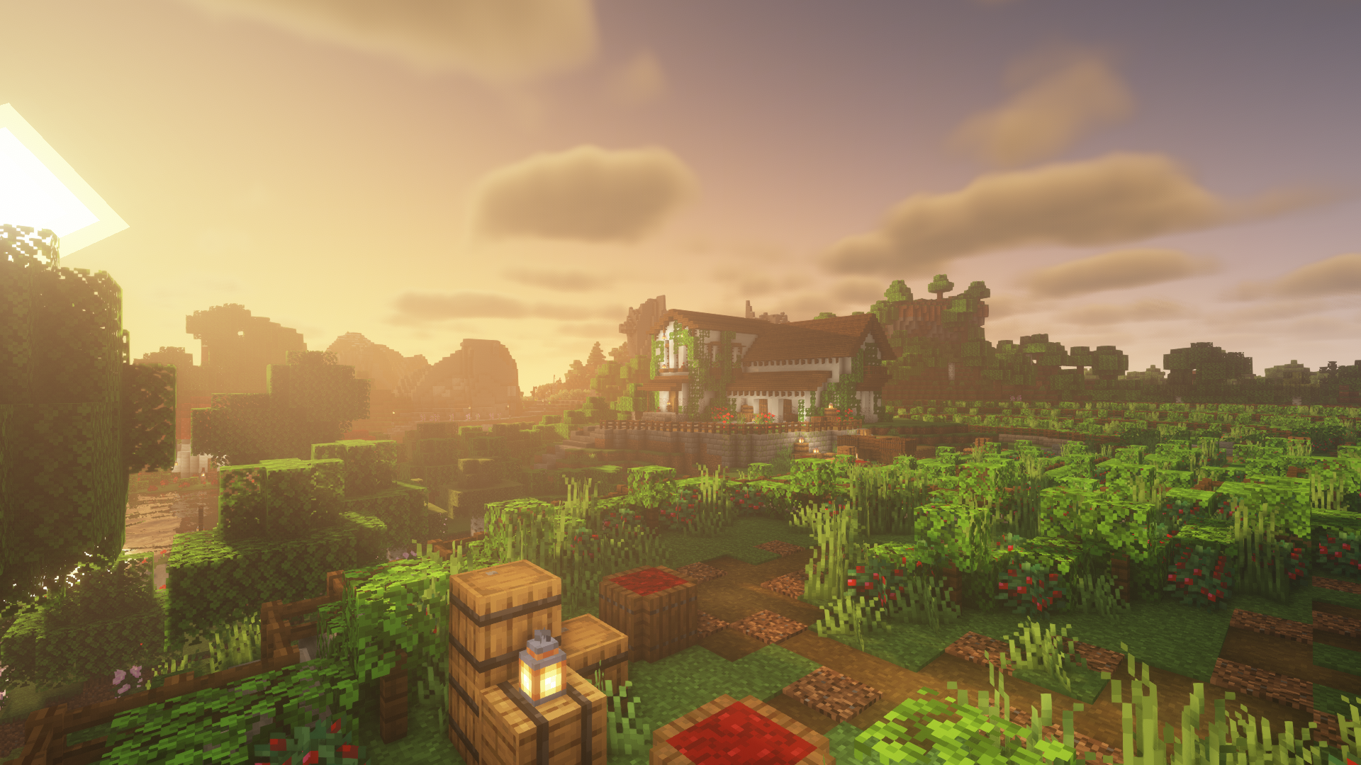 Enigma SMP background